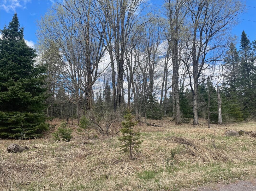 40 +/- Acres On Pociask Road, Butternut WI 54514 - Land house for sale - MLS #1601090 - image2