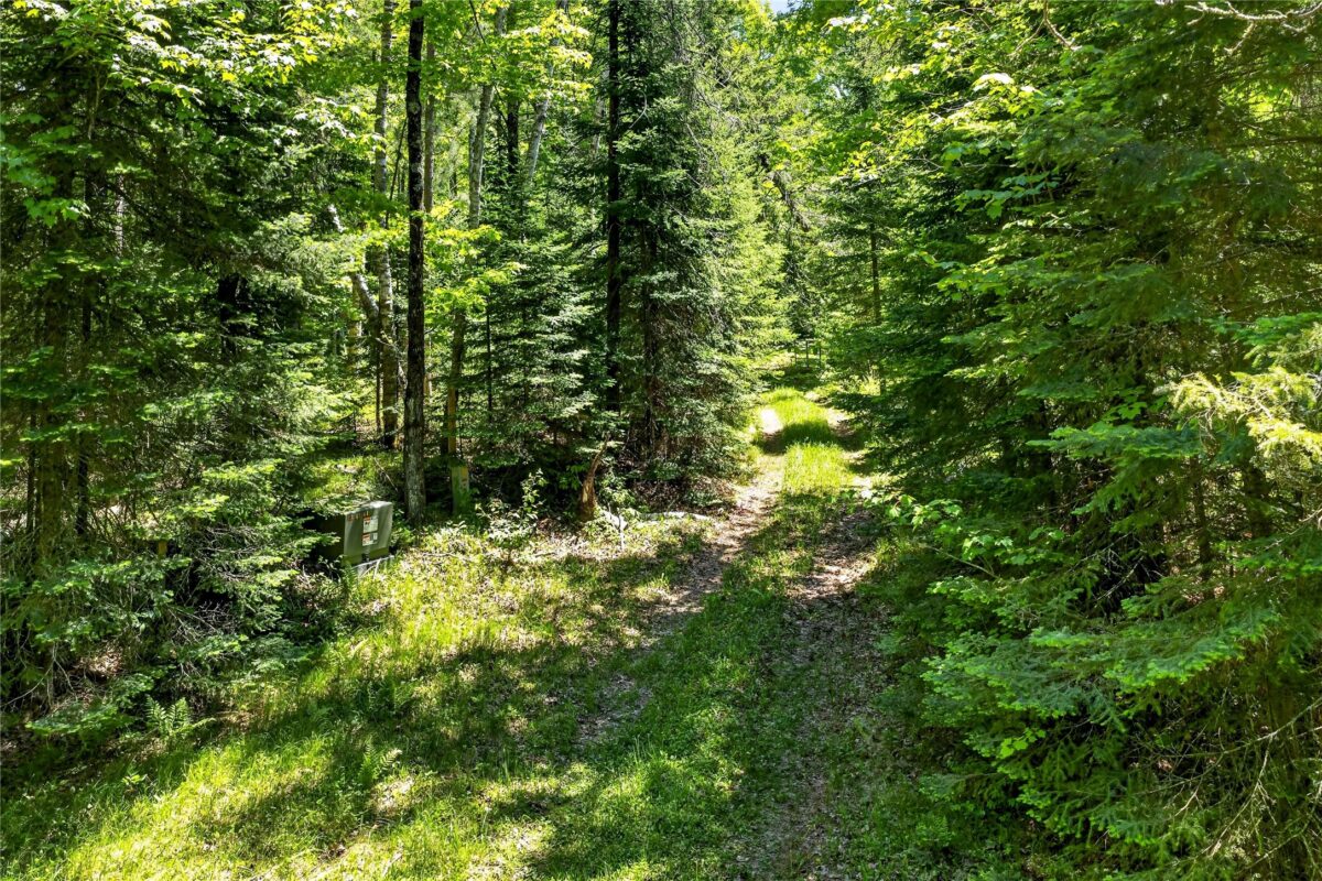 43545 Helms Point Road, Cable WI 54821 - Land house for sale - MLS #1602003 - image15