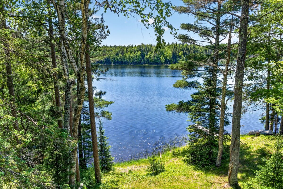 43545 Helms Point Road, Cable WI 54821 - Land house for sale - MLS #1602003 - image17