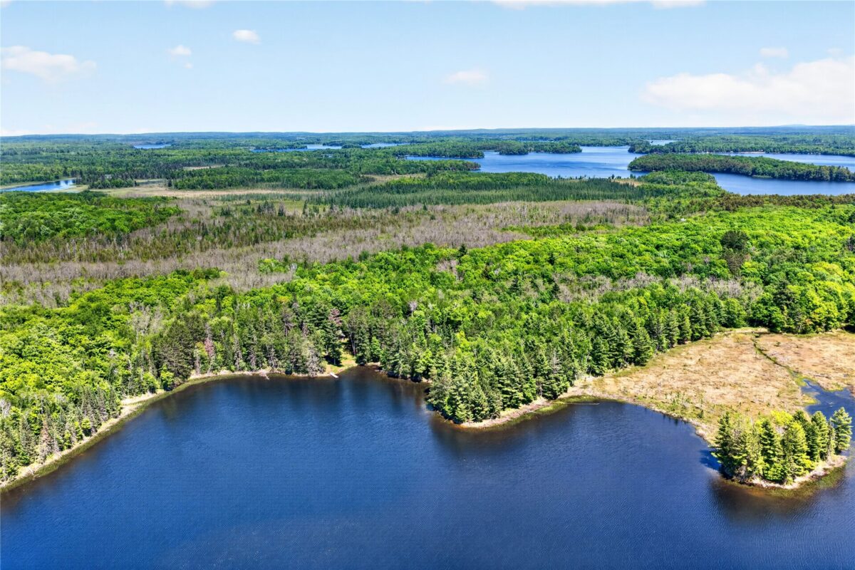 43545 Helms Point Road, Cable WI 54821 - Land house for sale - MLS #1602003 - image18