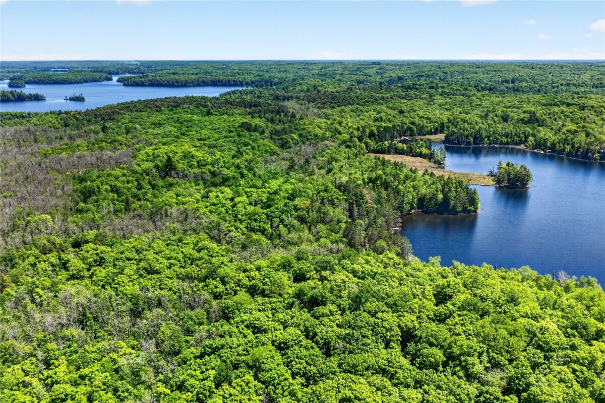 43545 Helms Point Road, Cable WI 54821 - Land house for sale - MLS #1602003 - image19
