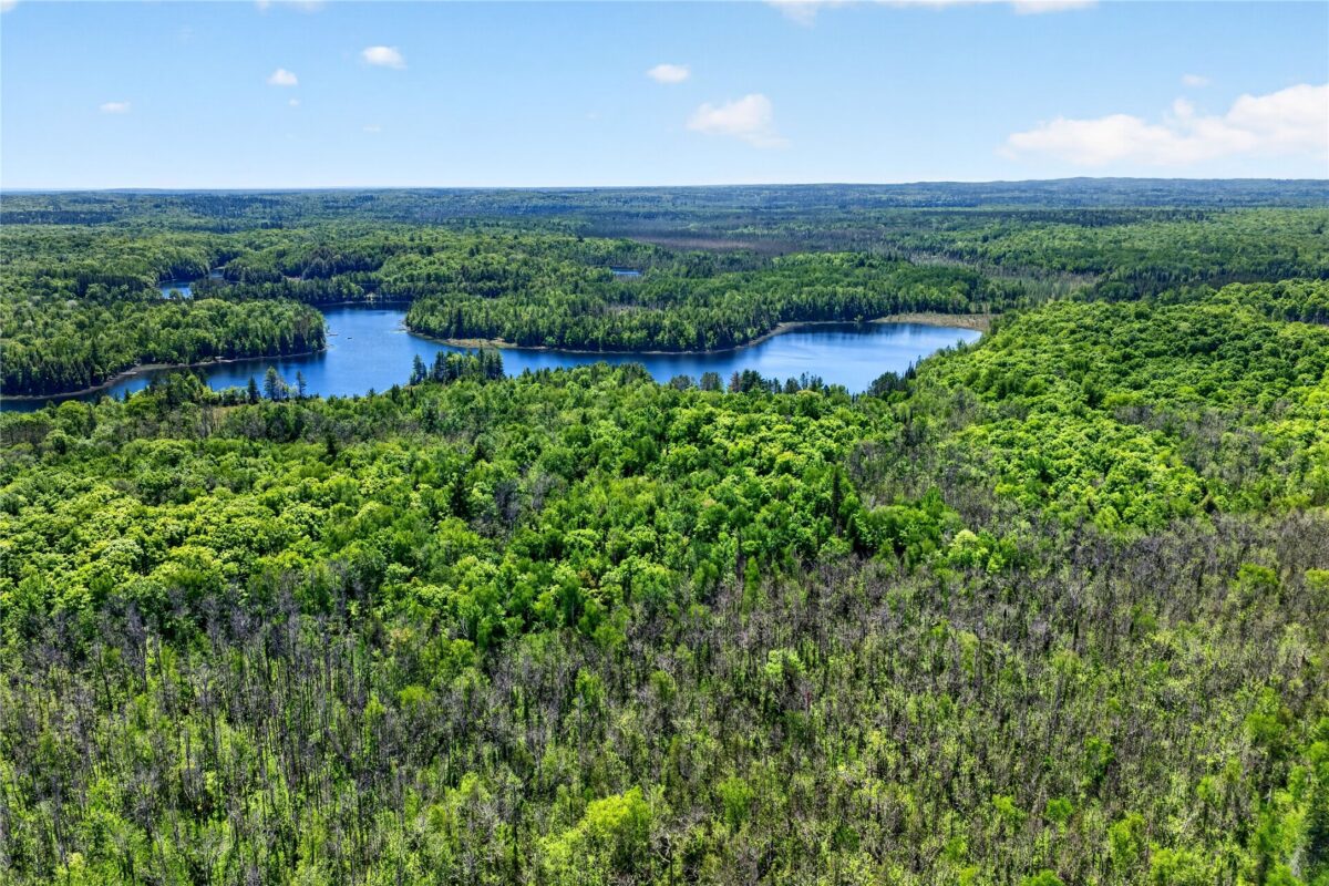 43545 Helms Point Road, Cable WI 54821 - Land house for sale - MLS #1602003 - image20
