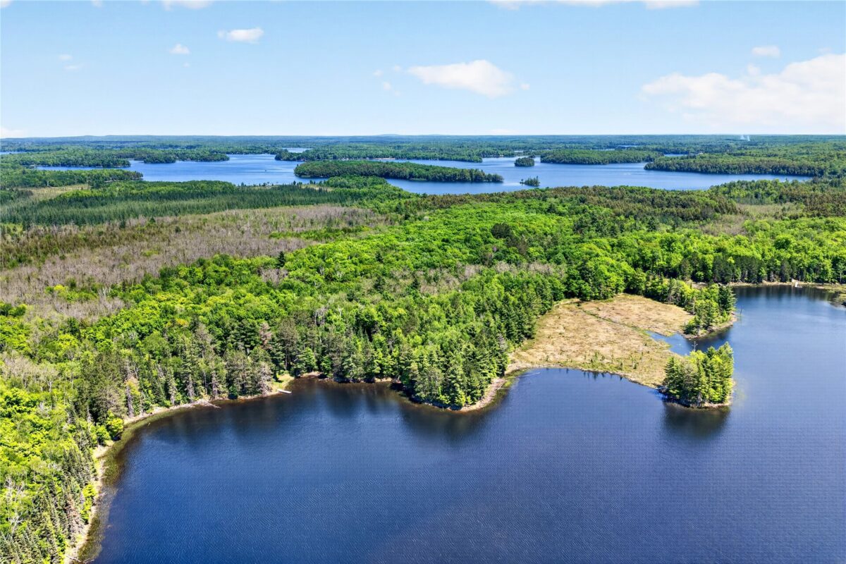 43545 Helms Point Road, Cable WI 54821 - Land house for sale - MLS #1602003 - image21
