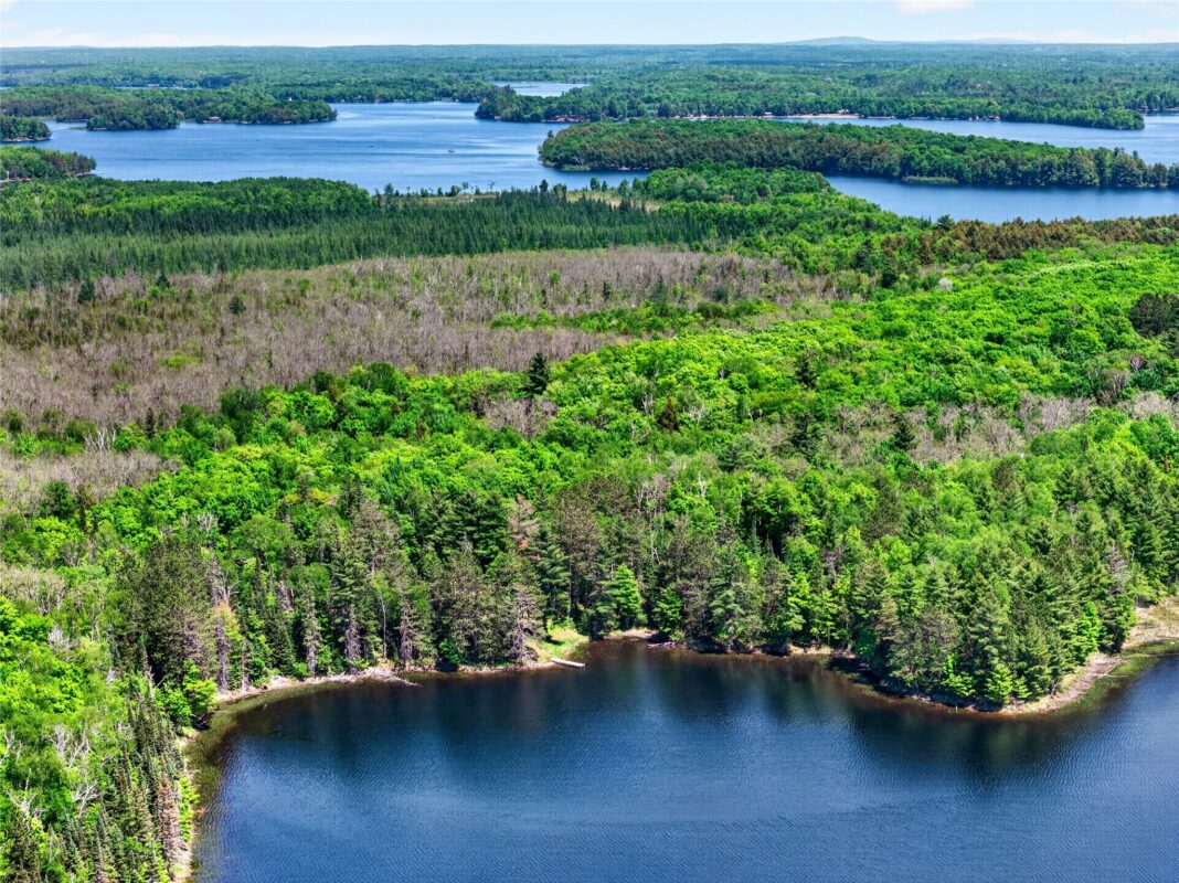43545 Helms Point Road, Cable WI 54821 - Land house for sale - MLS #1602003 - image22