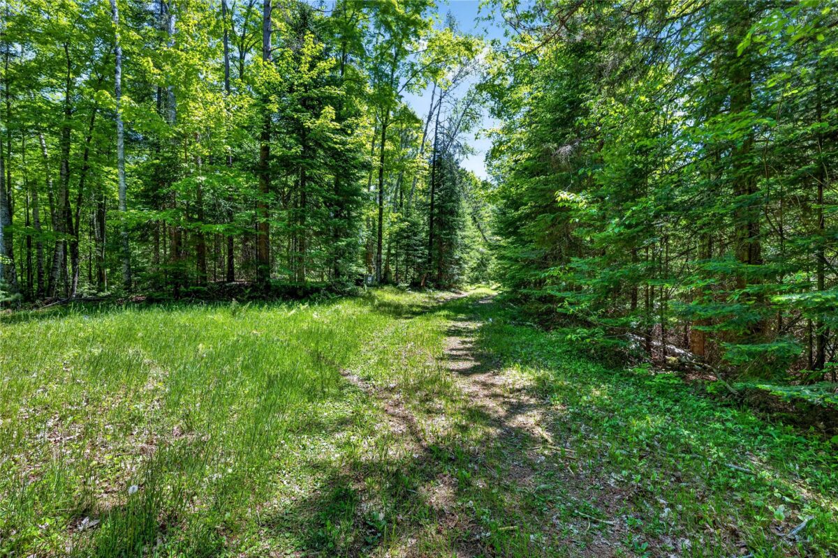 43545 Helms Point Road, Cable WI 54821 - Land house for sale - MLS #1602003 - image25