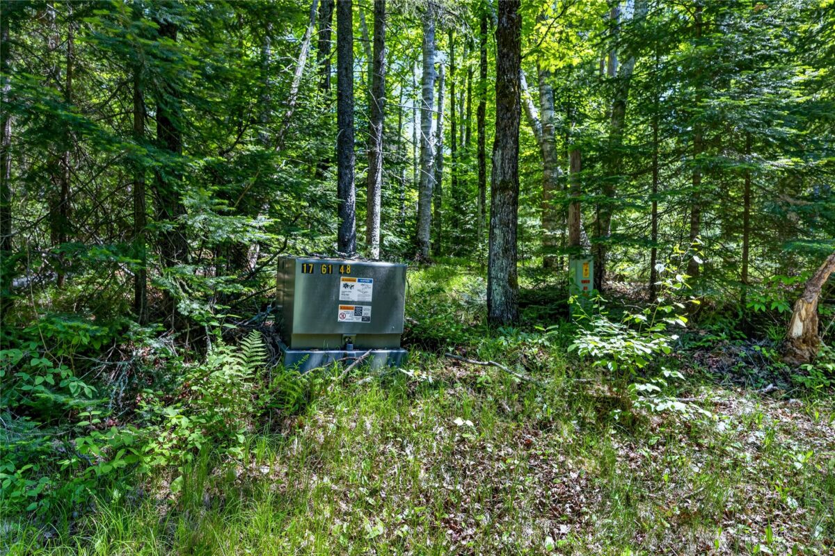 43545 Helms Point Road, Cable WI 54821 - Land house for sale - MLS #1602003 - image26
