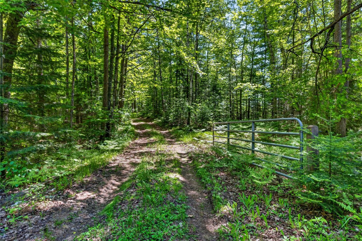43545 Helms Point Road, Cable WI 54821 - Land house for sale - MLS #1602003 - image27