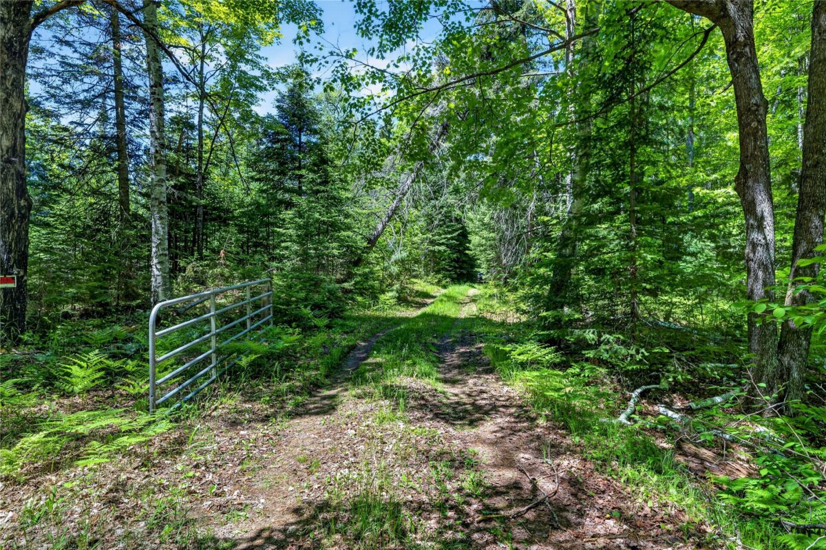 43545 Helms Point Road, Cable WI 54821 - Land house for sale - MLS #1602003 - image28