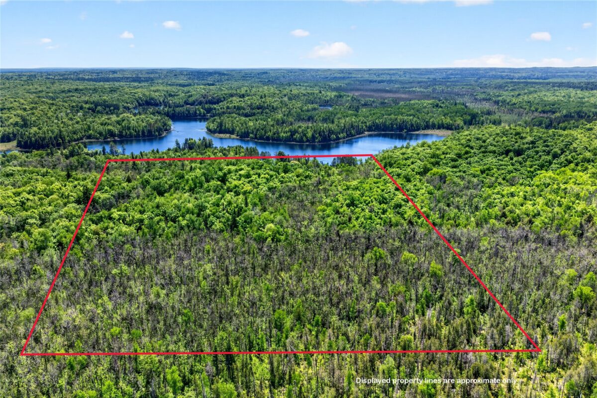 43545 Helms Point Road, Cable WI 54821 - Land house for sale - MLS #1602003 - image5