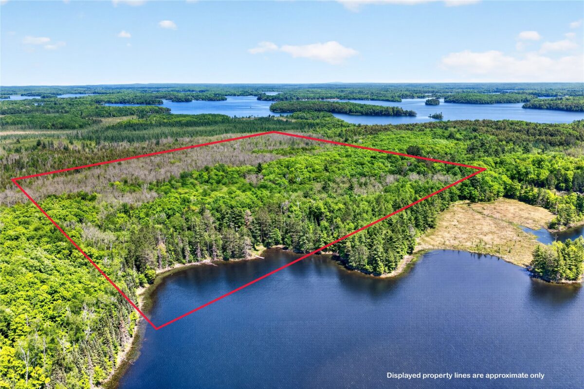 43545 Helms Point Road, Cable WI 54821 - Land house for sale - MLS #1602003 - image6