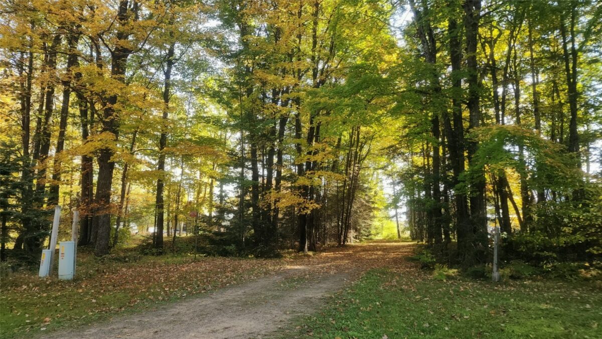 48250 Atkins Lake Road, Cable WI 54839 - Residential house for sale - MLS #1602487 - image34