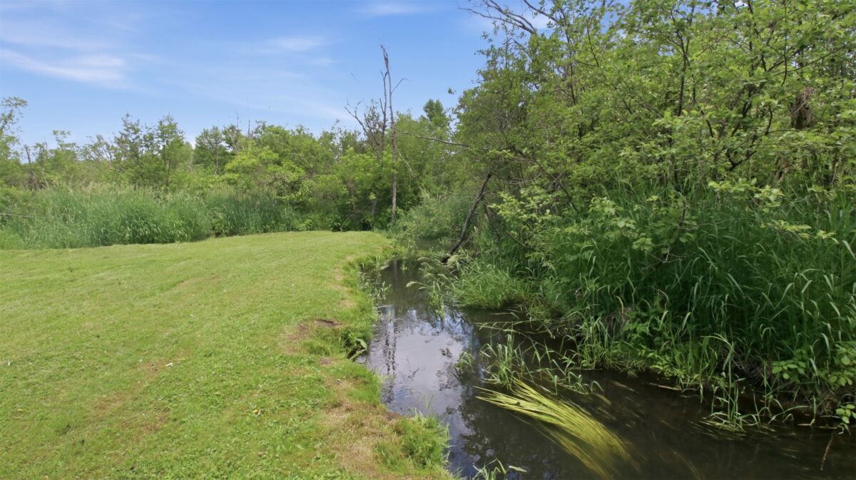 4900 Spruce Road, Eleva WI 54738 - Residential house for sale - MLS #1601799 - image32