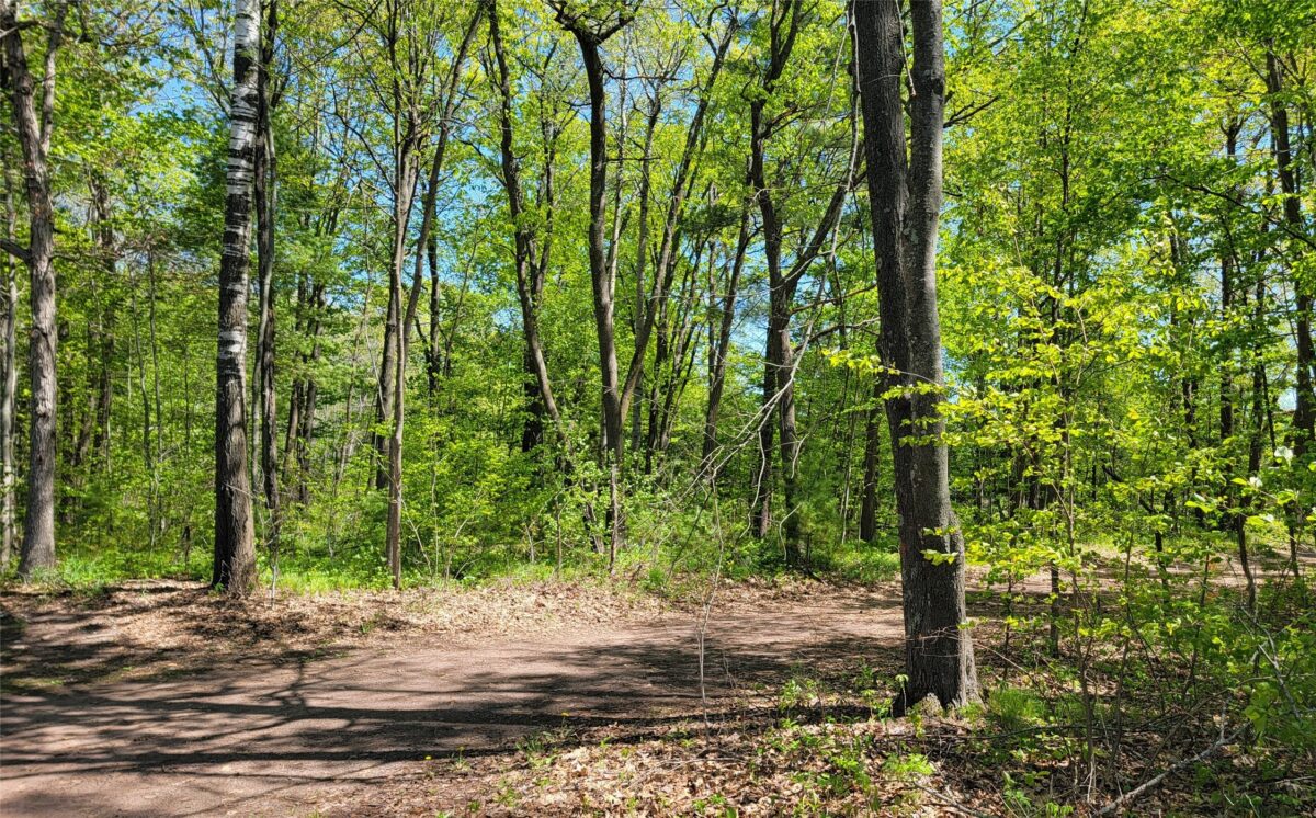 5154 County Road X, Webster WI 54893 - Residential house for sale - MLS #1601788 - image30