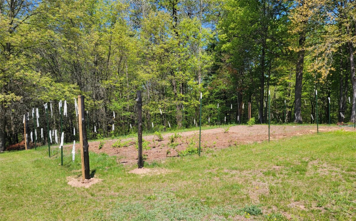 5154 County Road X, Webster WI 54896 - Residential house for sale - MLS #1601788 - image27