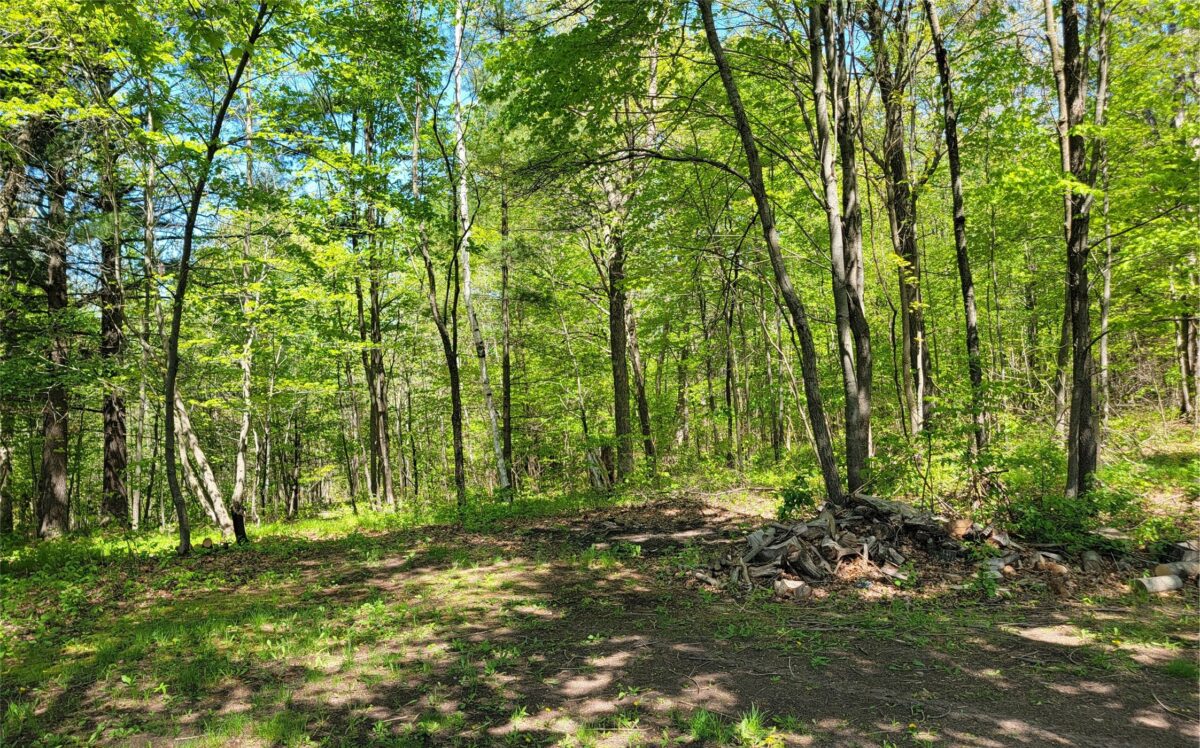 5154 County Road X, Webster WI 54896 - Residential house for sale - MLS #1601788 - image28