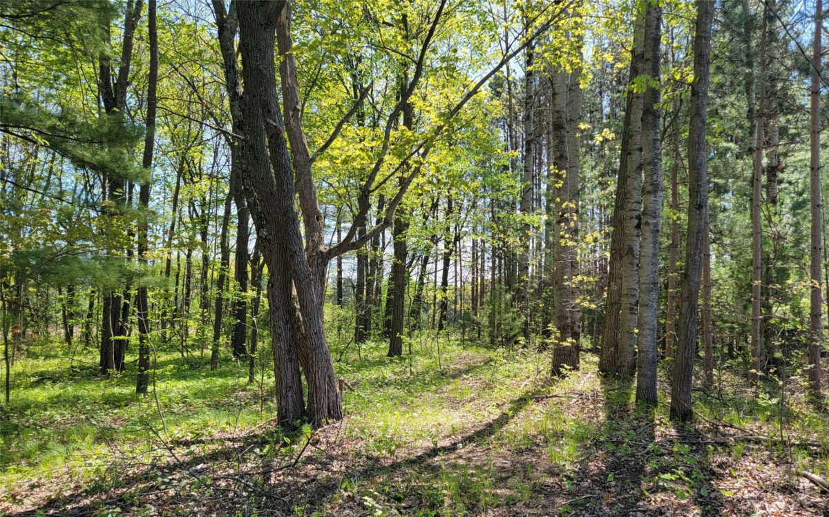 5154 County Road X, Webster WI 54896 - Residential house for sale - MLS #1601788 - image29