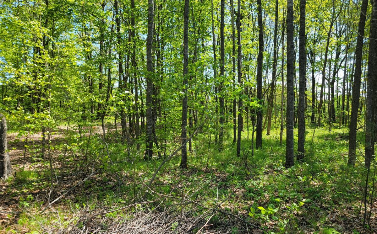 5154 County Road X, Webster WI 54896 - Residential house for sale - MLS #1601788 - image31