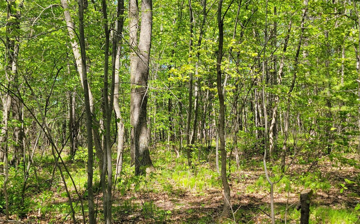 5154 County Road X, Webster WI 54896 - Residential house for sale - MLS #1601788 - image33