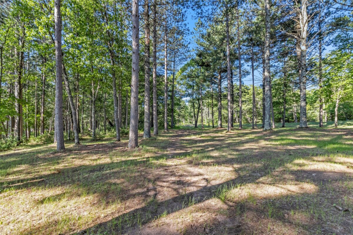 51690 Birch Lake Road, Barnes WI 54873 - Residential house for sale - MLS #1602031 - image9