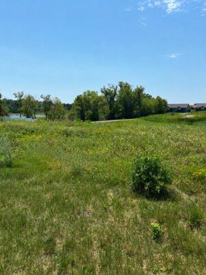 582 (Lot 3) Venus Lane Rice Lake WI 54868