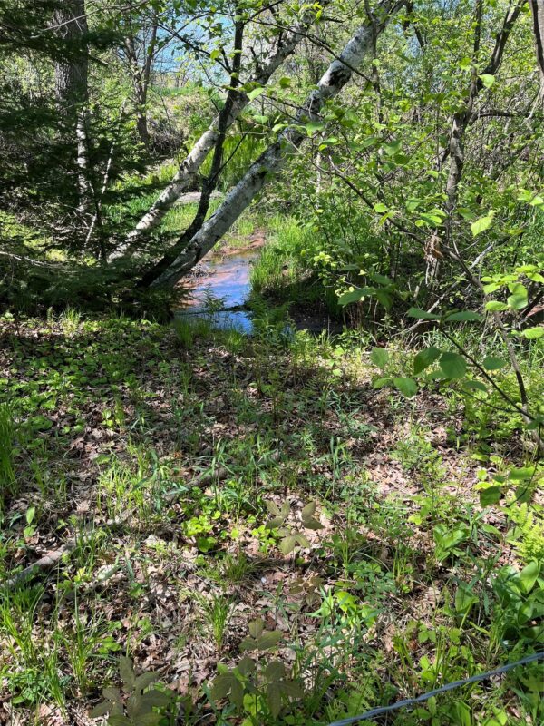 5918 Schaub Road, Trego WI 54888 - Residential house for sale - MLS #1601616 - image7