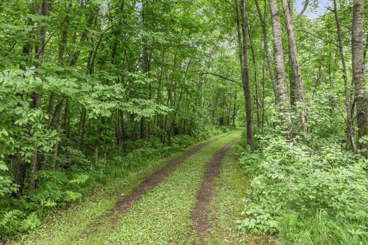 6675 Hideaway Road, Siren WI 54872 - Land house for sale - MLS #1602160 - image5
