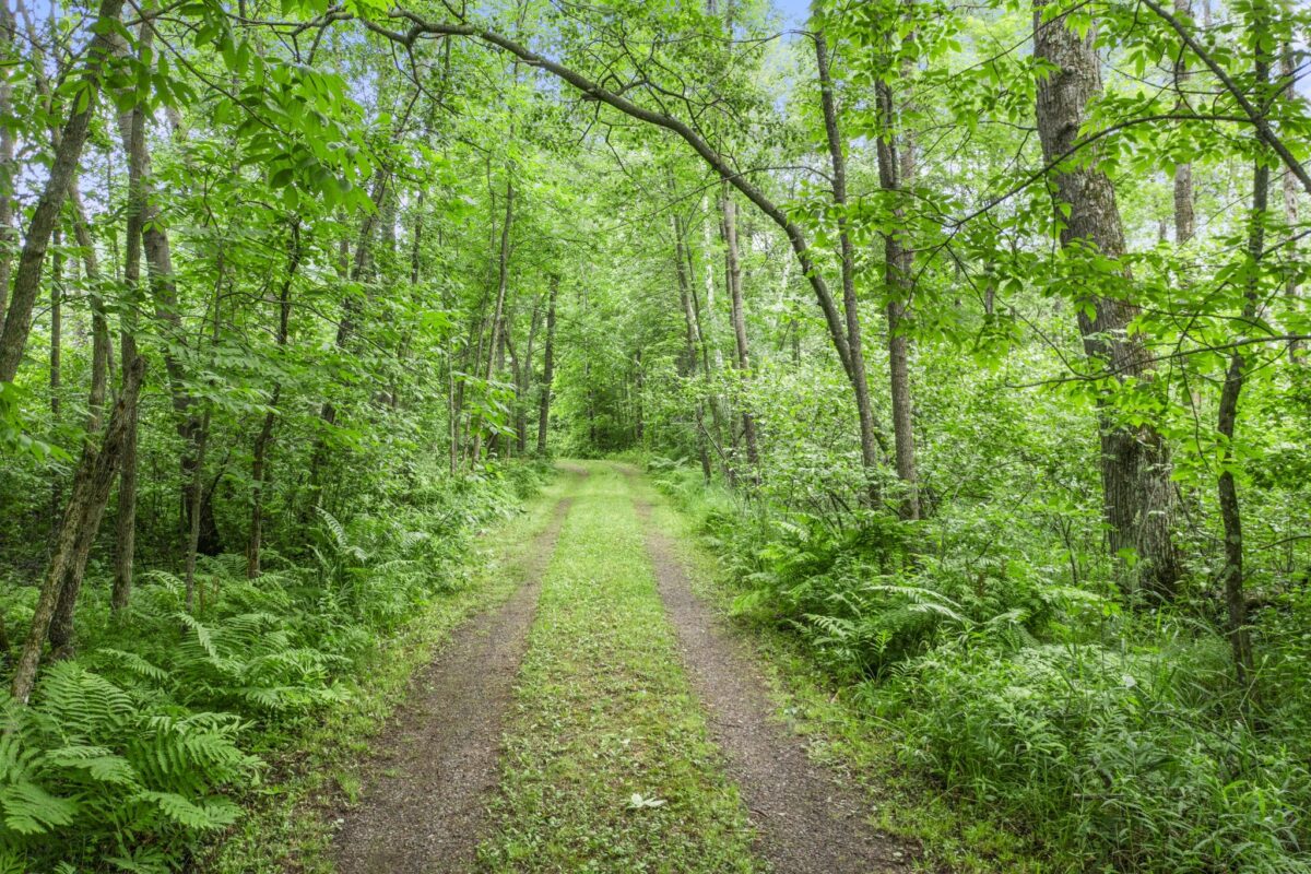 6675 Hideaway Road, Siren WI 54872 - Land house for sale - MLS #1602160 - image6