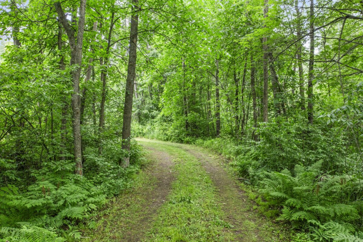 6675 Hideaway Road, Siren WI 54872 - Land house for sale - MLS #1602160 - image7