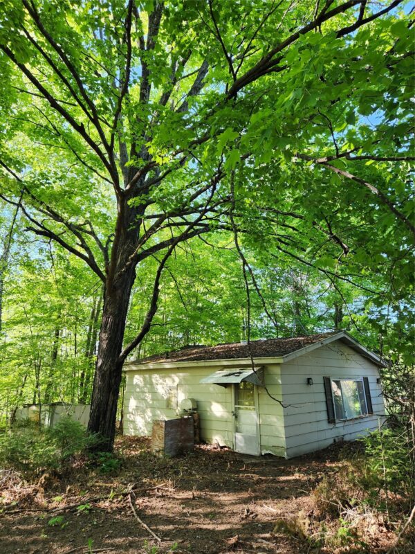 7069N Fender Road, Winter WI 54896 - Land house for sale - MLS #1601987 - image12