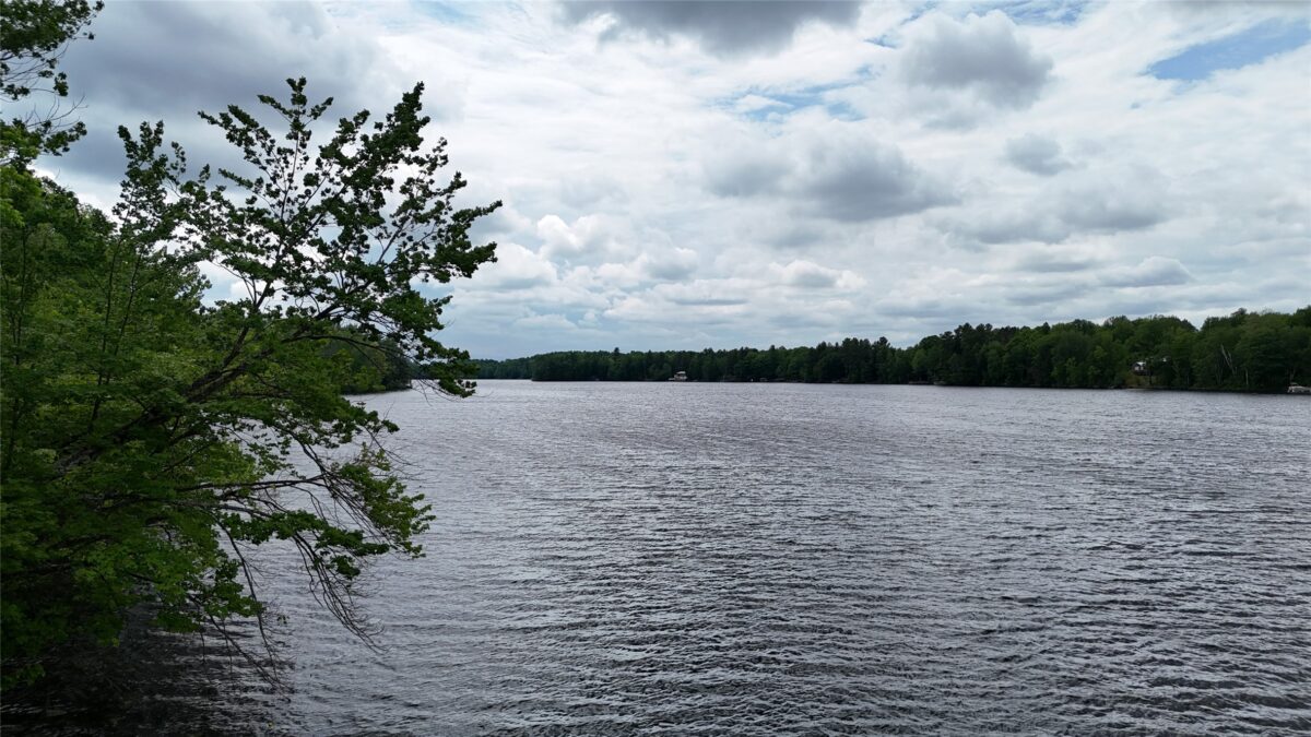 7069N Fender Road, Winter WI 54896 - Land house for sale - MLS #1601987 - image13