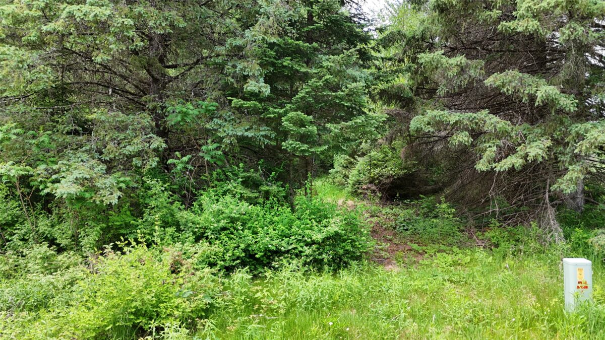7069N Fender Road, Winter WI 54896 - Land house for sale - MLS #1601987 - image25