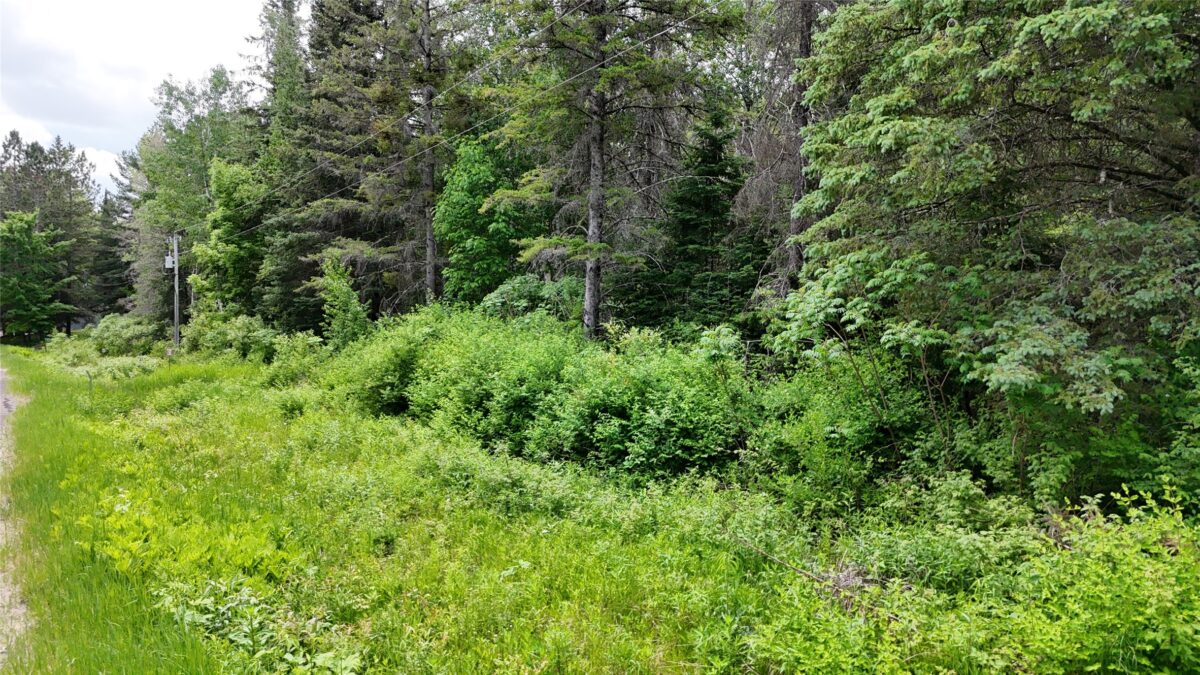 7069N Fender Road, Winter WI 54896 - Land house for sale - MLS #1601987 - image26