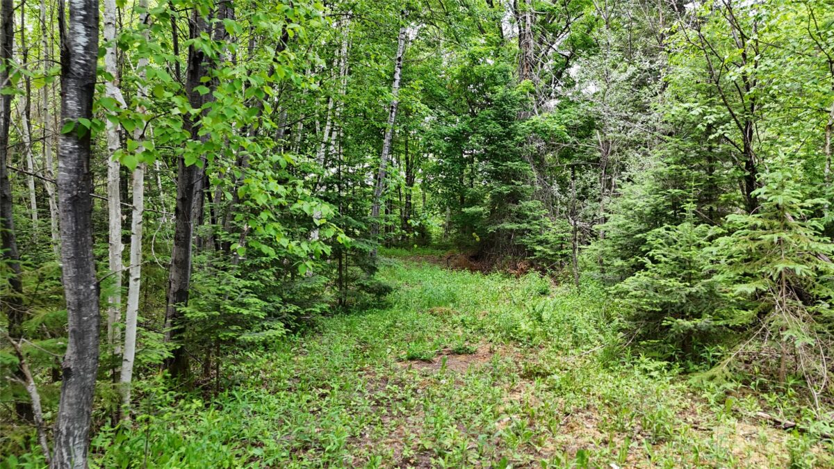7069N Fender Road, Winter WI 54896 - Land house for sale - MLS #1601987 - image30