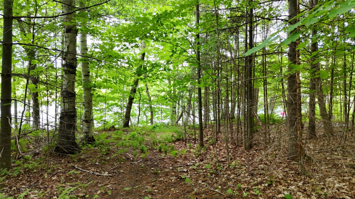 7069N Fender Road, Winter WI 54896 - Land house for sale - MLS #1601987 - image31