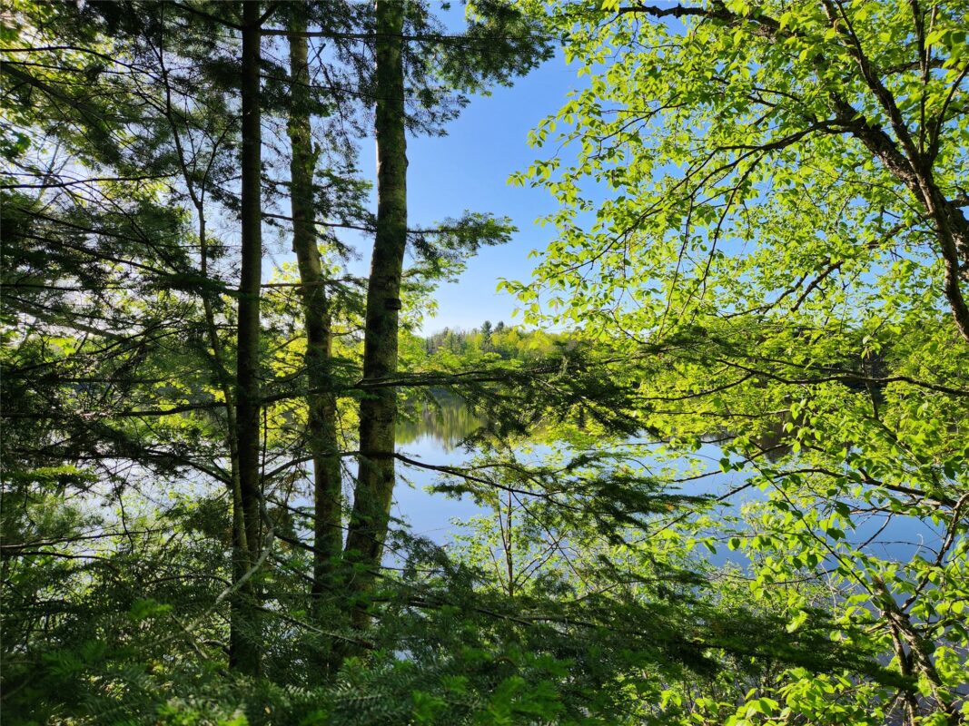 7069N Fender Road, Winter WI 54896 - Land house for sale - MLS #1601987 - image46