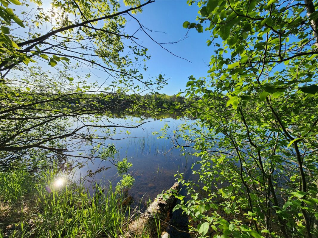 7069N Fender Road, Winter WI 54896 - Land house for sale - MLS #1601987 - image49
