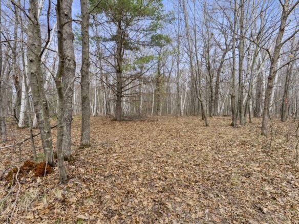 7108 Oakwood Parkway, Webster WI 54893 - Land house for sale - MLS #1600154 - image1
