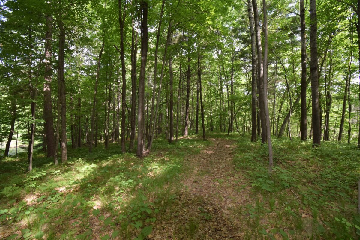 7118 Gordon Road, Siren WI 54872 - Land house for sale - MLS #1601948 - image31
