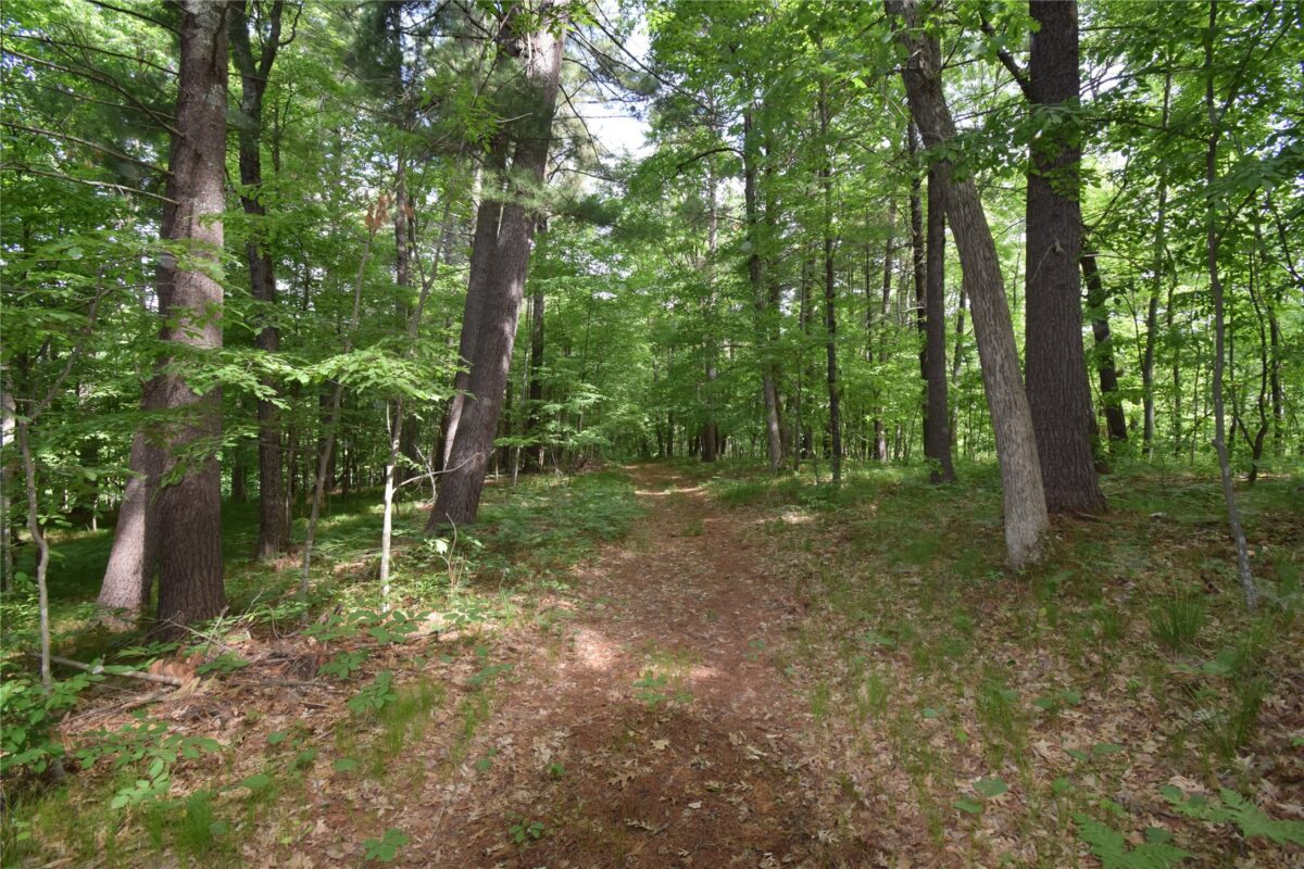7118 Gordon Road, Siren WI 54872 - Land house for sale - MLS #1601948 - image33