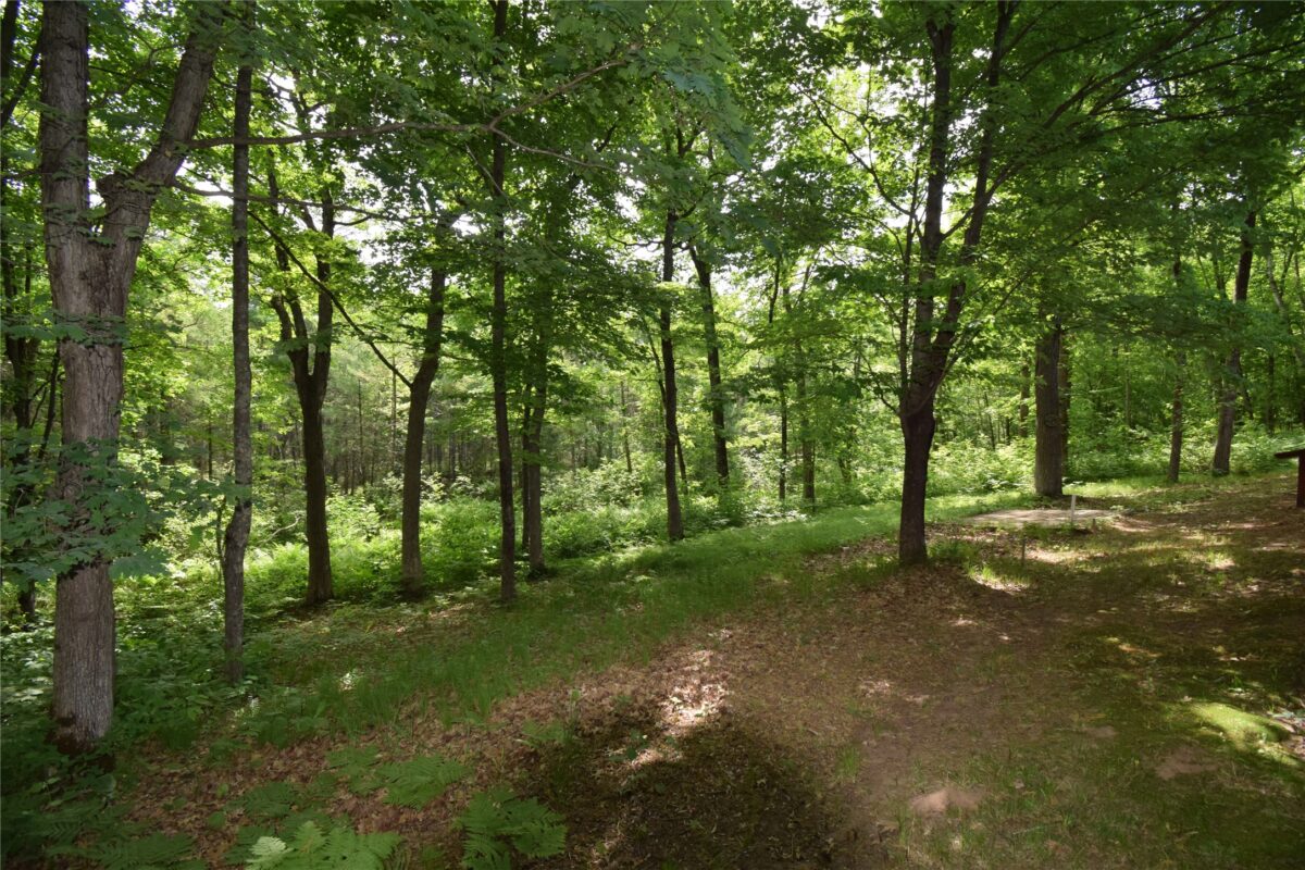 7118 Gordon Road, Siren WI 54872 - Land house for sale - MLS #1601948 - image34