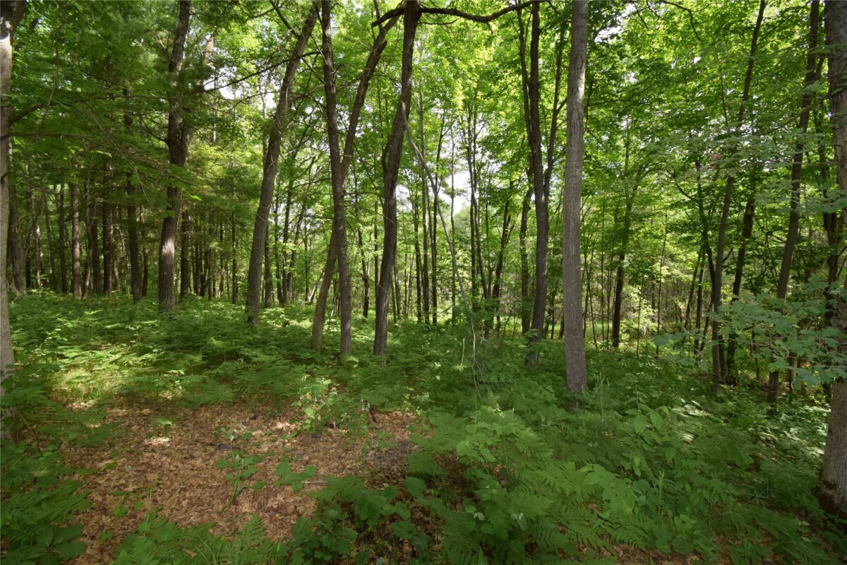 7118 Gordon Road, Siren WI 54872 - Land house for sale - MLS #1601948 - image35