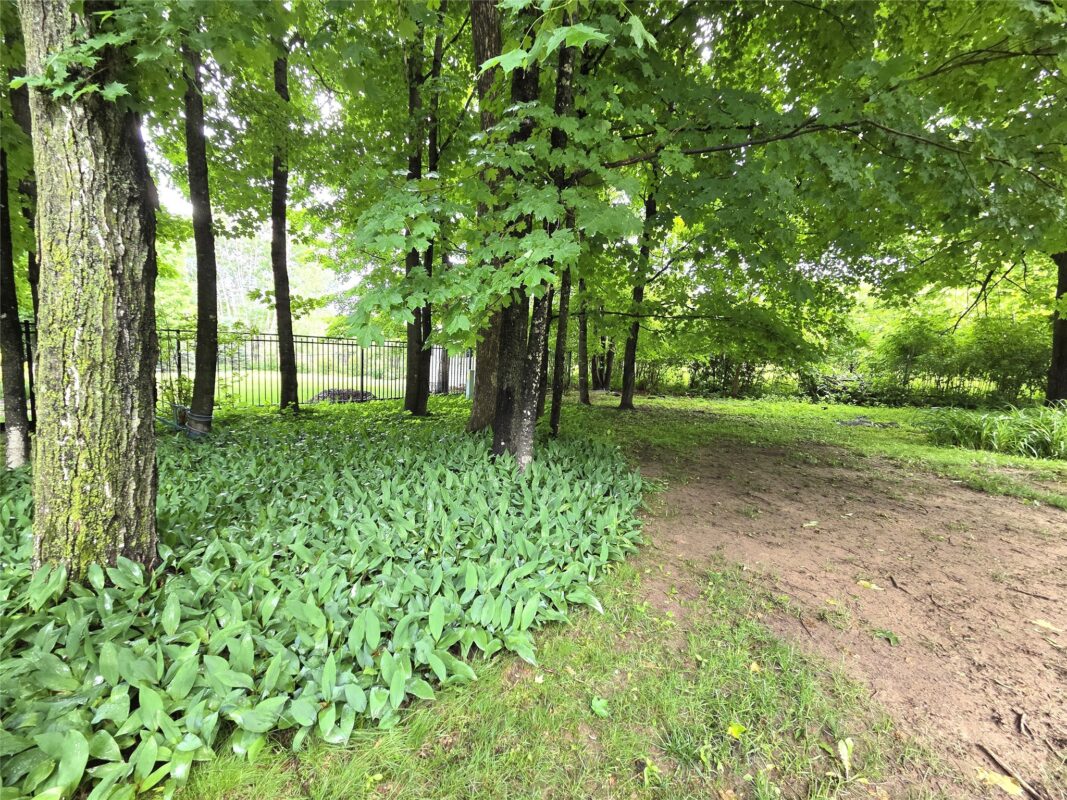 724 Pine Place, Rice Lake WI 54868 - Residential house for sale - MLS #1602221 - image39