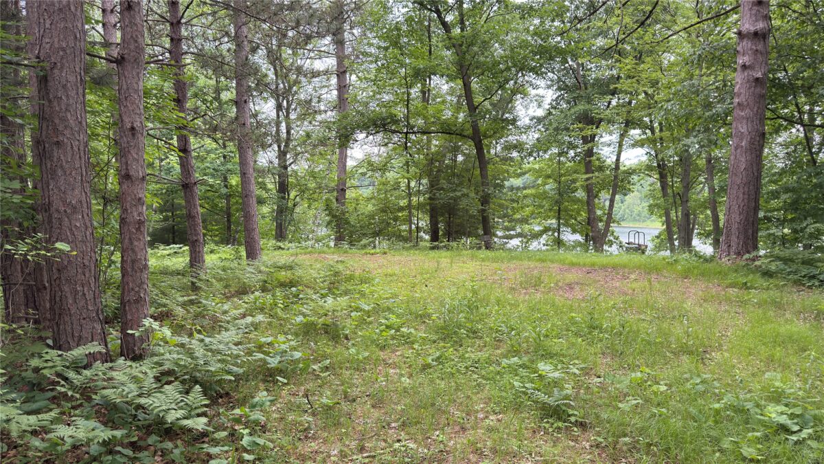 765 270th Ave Cty Rd O, Frederic WI 54837 - Land house for sale - MLS #1602300 - image11