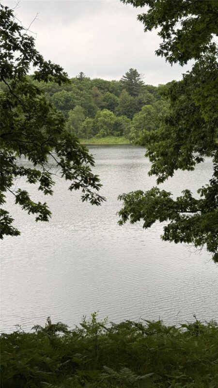 765 270th Ave Cty Rd O, Frederic WI 54837 - Land house for sale - MLS #1602300 - image12