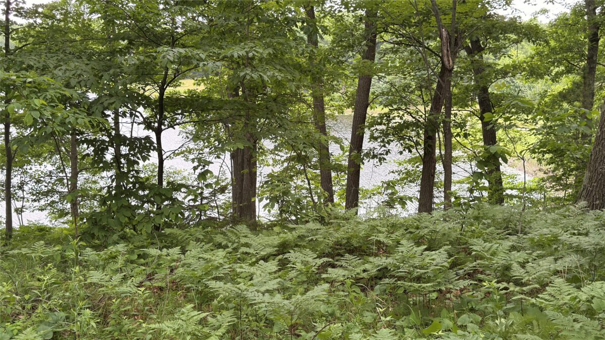 765 270th Ave Cty Rd O, Frederic WI 54837 - Land house for sale - MLS #1602300 - image15