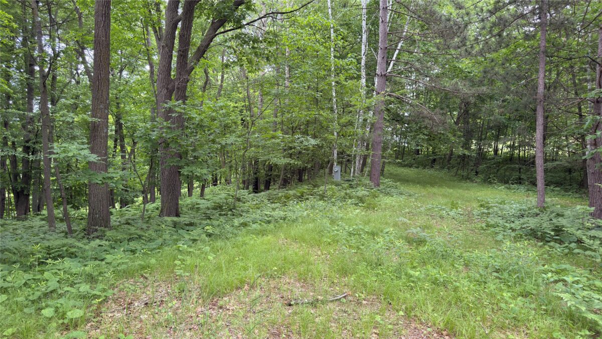 765 270th Ave Cty Rd O, Frederic WI 54837 - Land house for sale - MLS #1602300 - image17