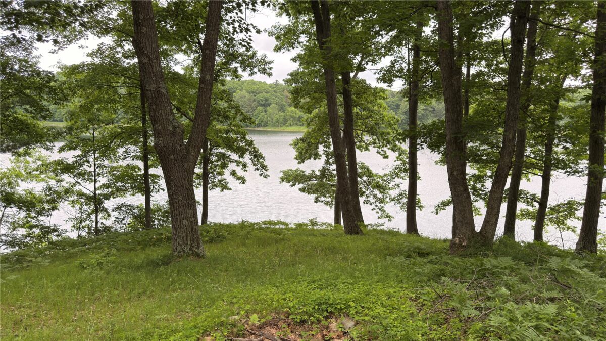 765 270th Ave Cty Rd O, Frederic WI 54837 - Land house for sale - MLS #1602300 - image9