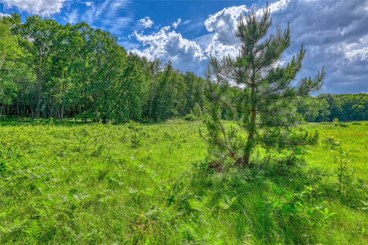 8009 Fox Road, Spooner WI 54801 - Residential house for sale - MLS #1602434 - image31