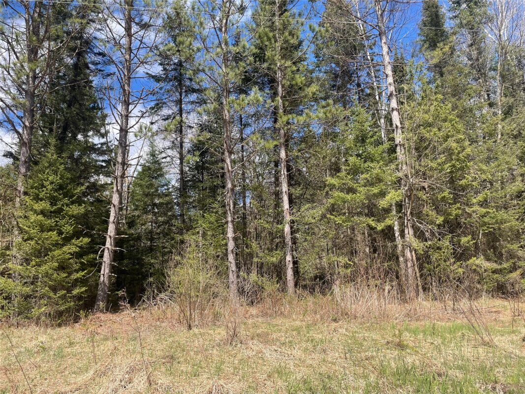 81620 Pociask Road, Butternut WI 54514 - Land house for sale - MLS #1601089 - image2