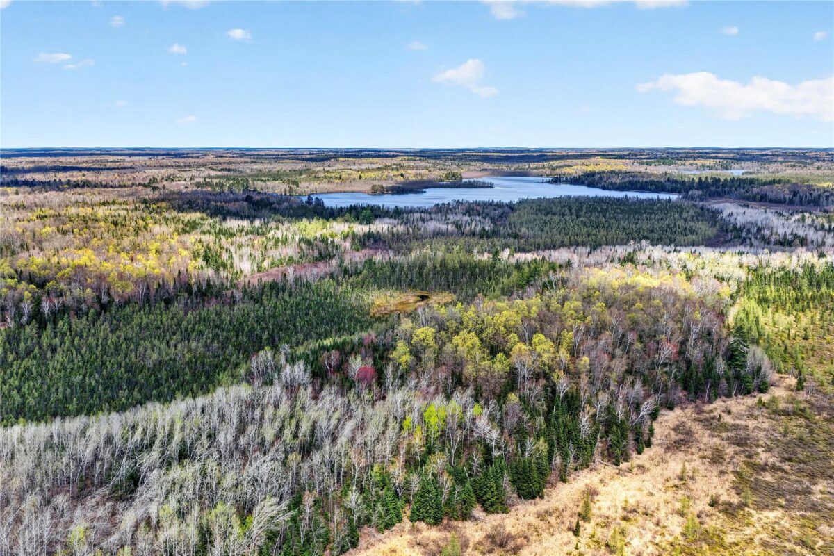 8225 Blaisdell Lake Road, Winter WI 54896 - Land house for sale - MLS #1600828 - image5